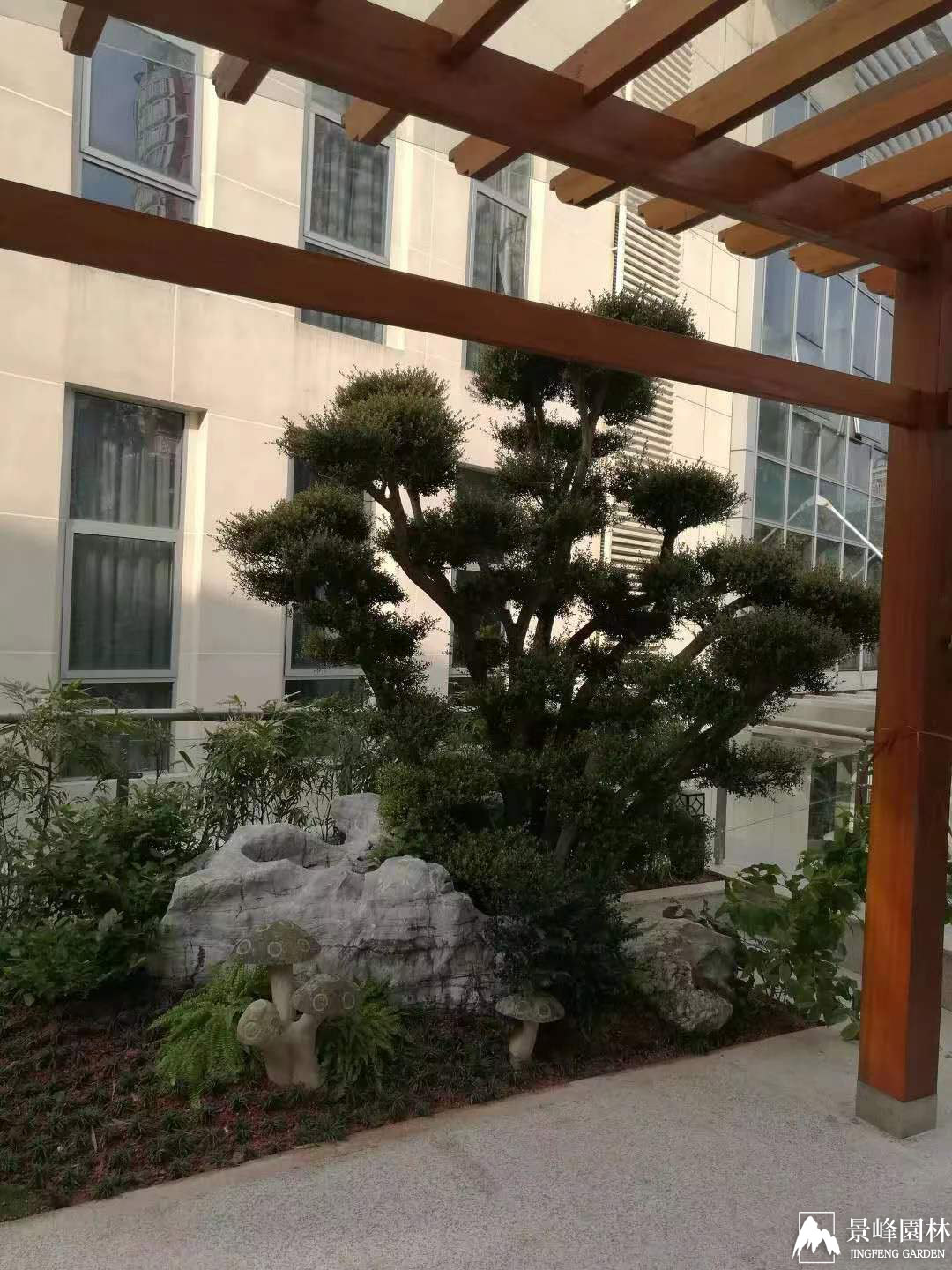 沙河高尔夫办公室阳台_0
